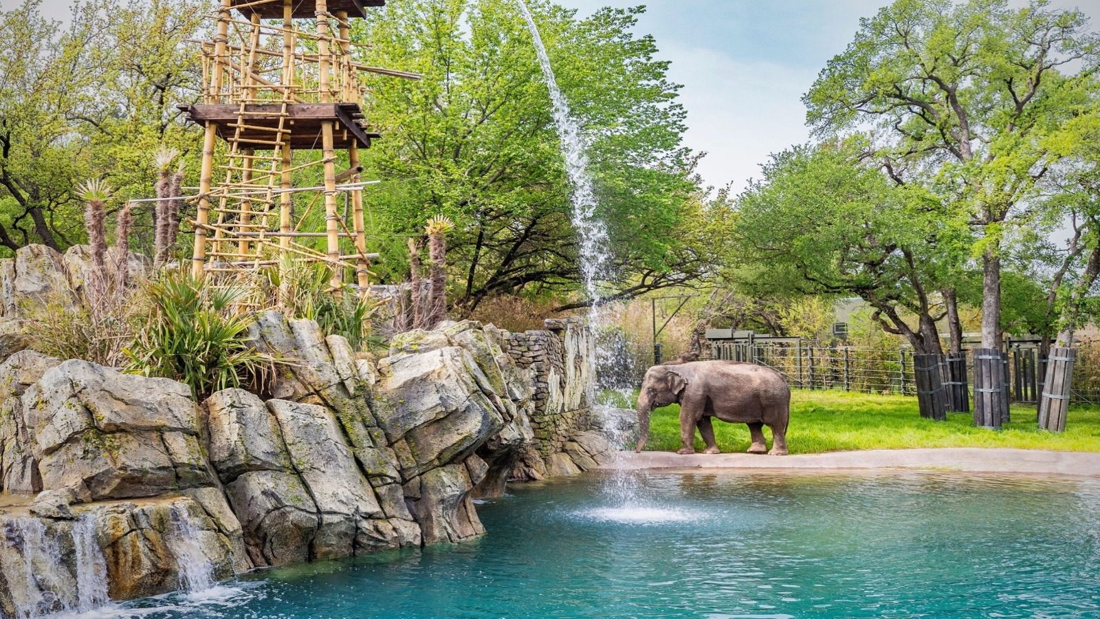 Zoológico de Fort Worth nominado a los '10 mejores zoológicos' de USA