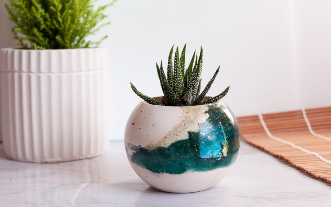 Dallas Shop Creates Unique Pots for Plants