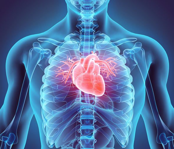 Long-COVID May Cause Heart Damage