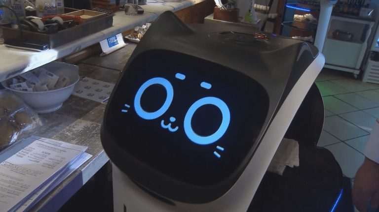 Robots utilizados en restaurante de Dallas para combatir la falta de personal
