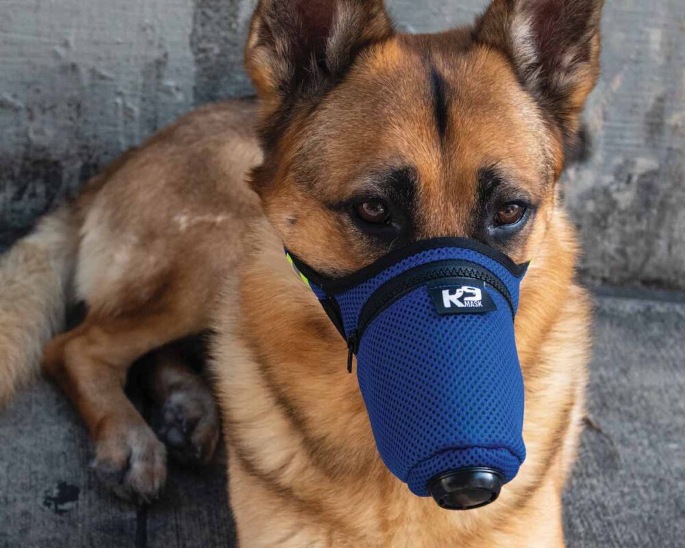 Texan Creates Face Mask to Protect Pets from Toxins