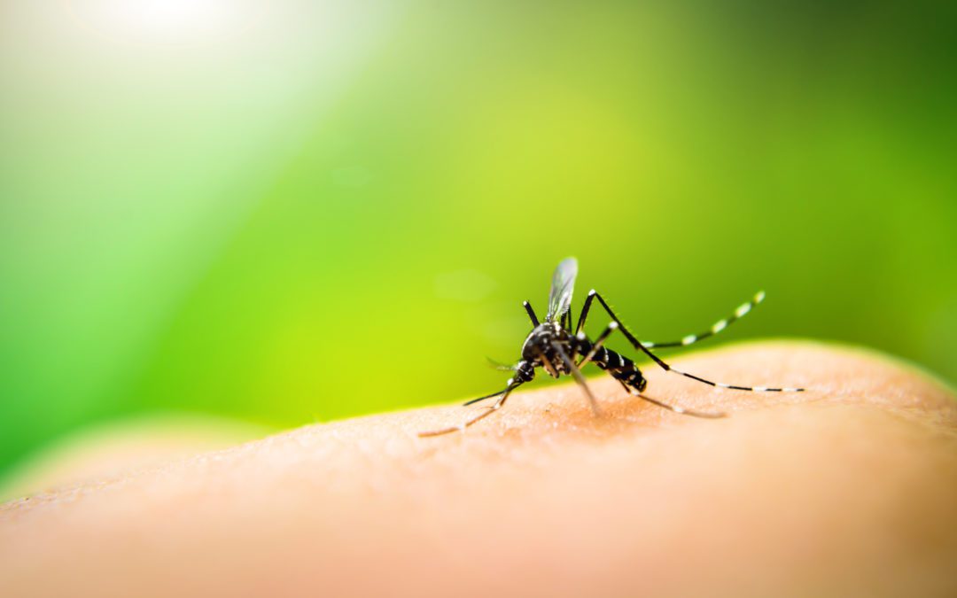 Nineteenth Case of West Nile Virus Confirmed in Dallas County 