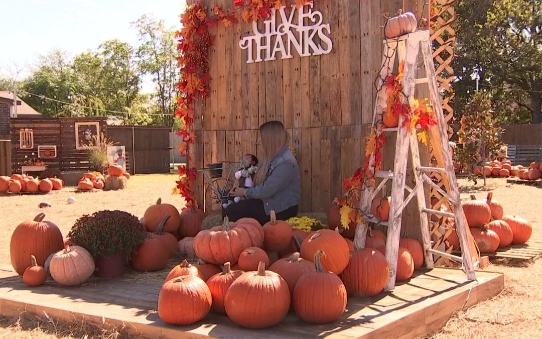 Church Sets up Free Pumpkin Patch Ahead of Halloween