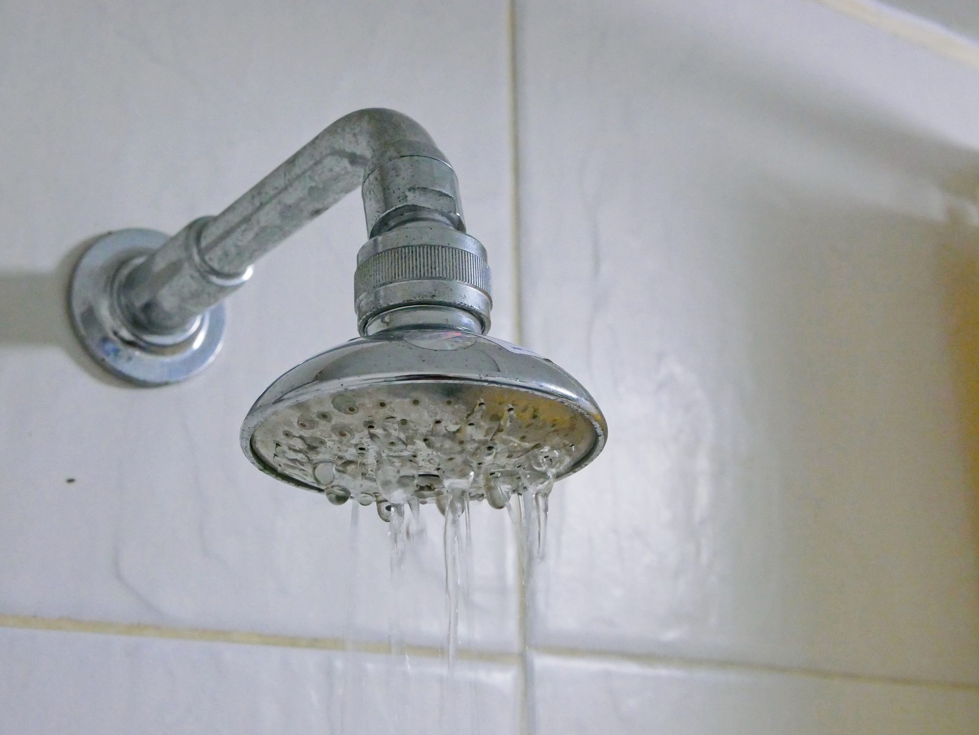 Primer plano de un cabezal de ducha parcialmente obstruido en un baño, lo que hace que salga muy poca agua