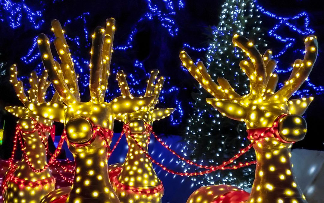Guide to View Neighborhood Displays of Christmas Lights