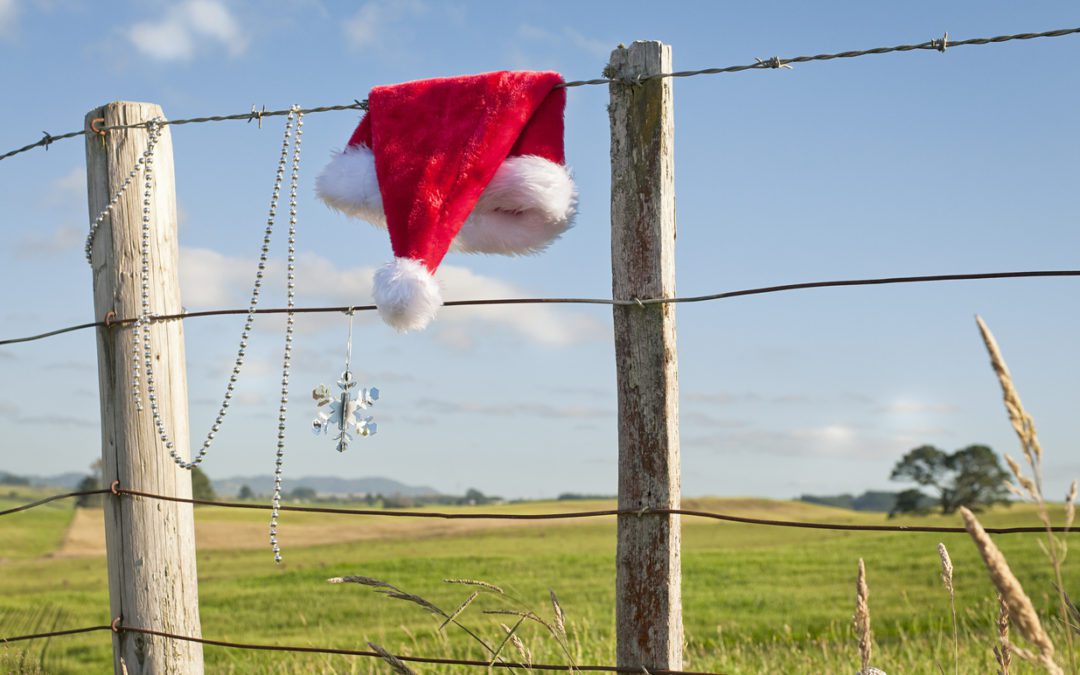 Christmas Weather Varied Widely Across the Country