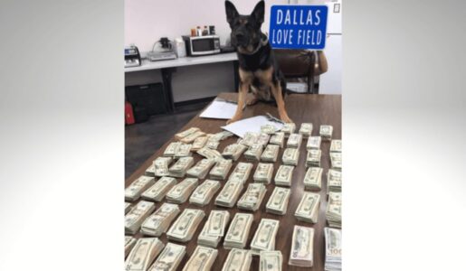 Police K-9 Finds More Than $100K at Dallas Love Field