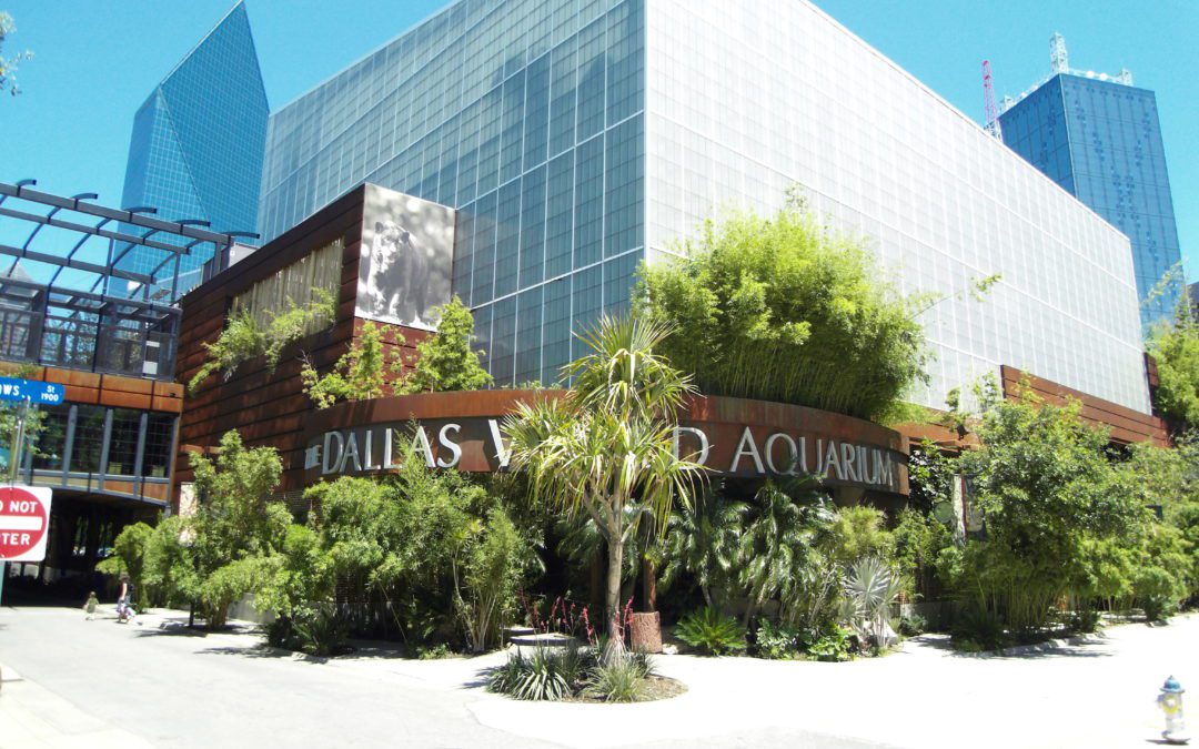 Police Investigate Shooting Incident Around Dallas World Aquarium