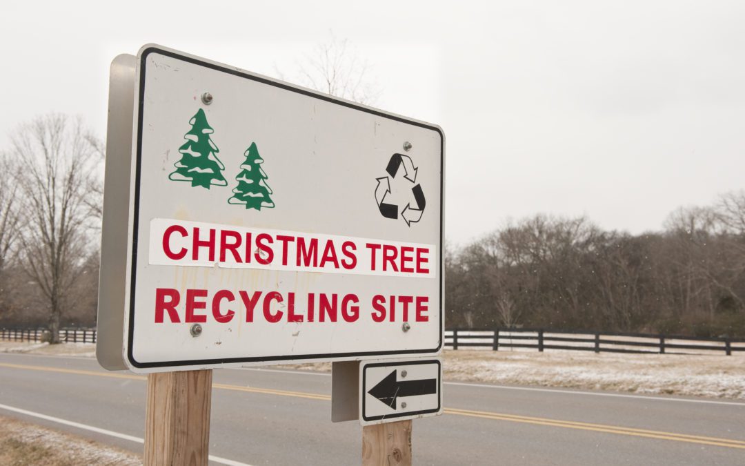 Where To Recycle Your Natural Christmas Tree