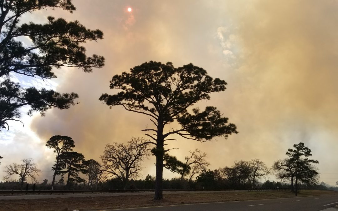 Families Evacuate as ‘Rolling Pines Wildfire’ Rages