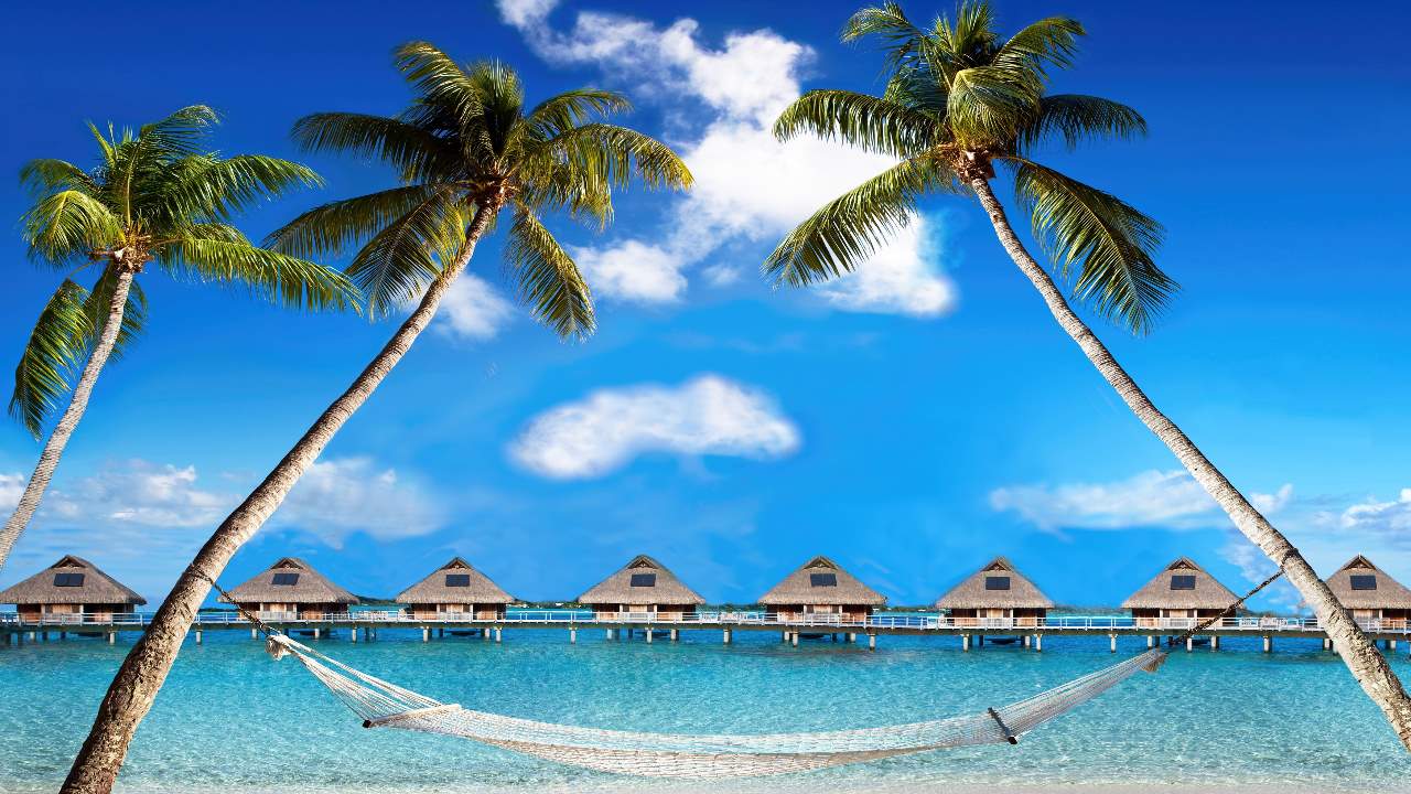 Tahiti's Breeze Theme Park Launches Equity Crowdfunding Campaign ...