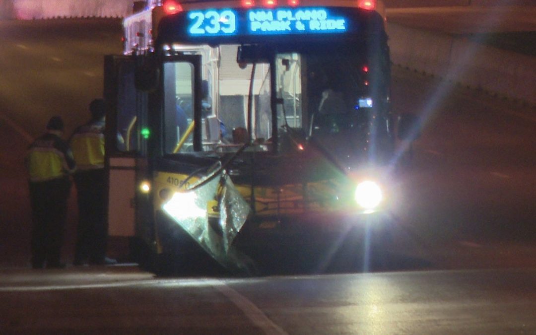 DART Bus Hits and Kills a Pedestrian