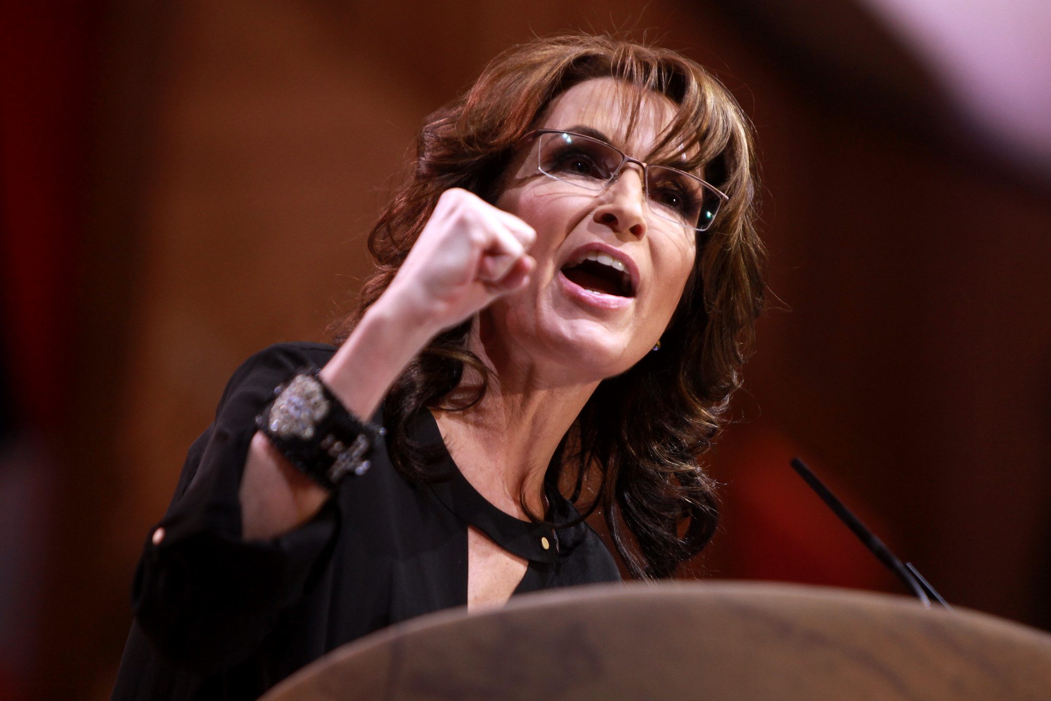 Sarah Palin Libel Case Against the New York Times to be Dismissed