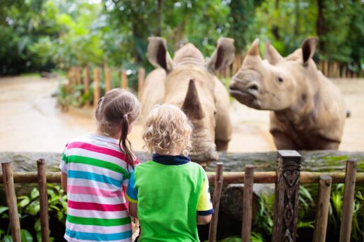 Dallas Zoo Selling Packaged ‘Zoo Poo’