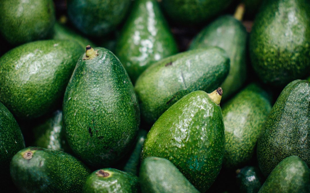 U.S. Temporarily Bans Import of Avocados from Mexico After Threats