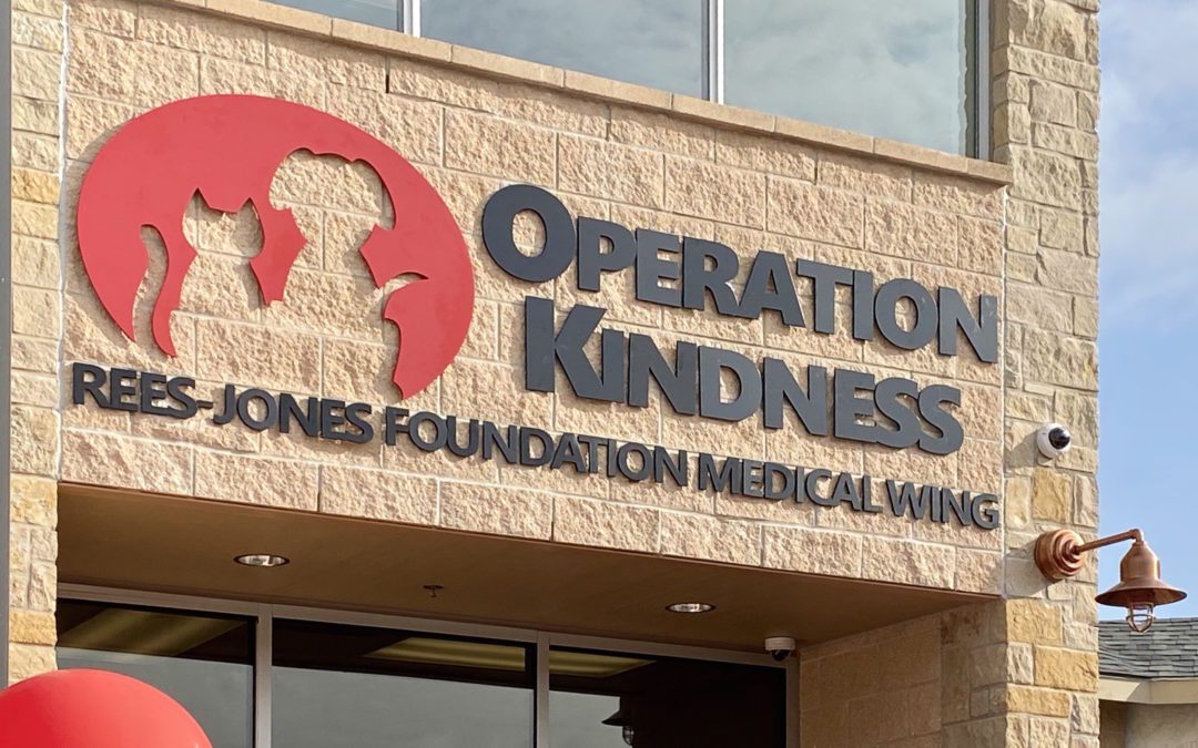 Operation Kindness Opens Neonatal Kitten Nursery