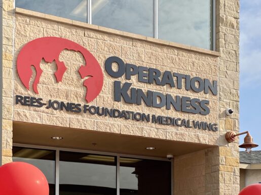 Operation Kindness Opens Neonatal Kitten Nursery