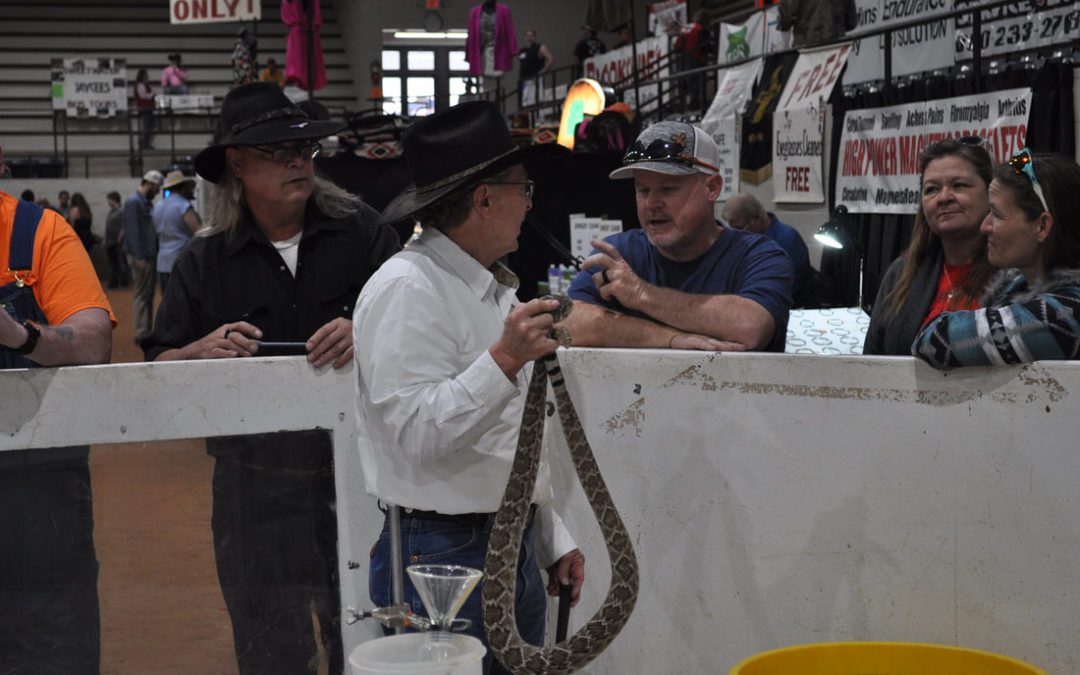 Rattlesnake Roundup Annual Event Held This Weekend Despite Backlash
