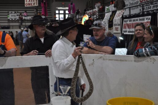 Rattlesnake Roundup Annual Event Held This Weekend Despite Backlash