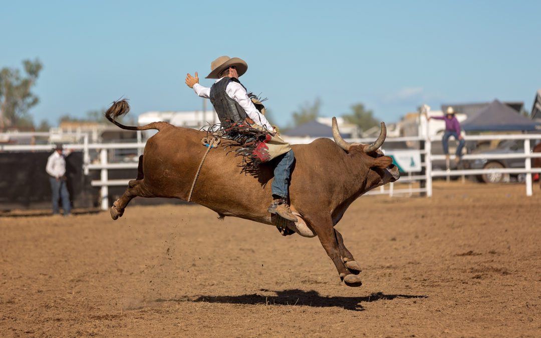Bull Rider’s Father Jumps into Ring to Save Him at Texas Rodeo