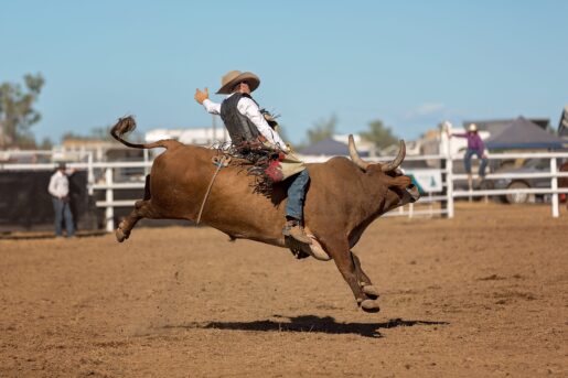 Bull Rider’s Father Jumps into Ring to Save Him at Texas Rodeo