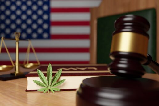 Federal Marijuana Legalization Could Get Vote