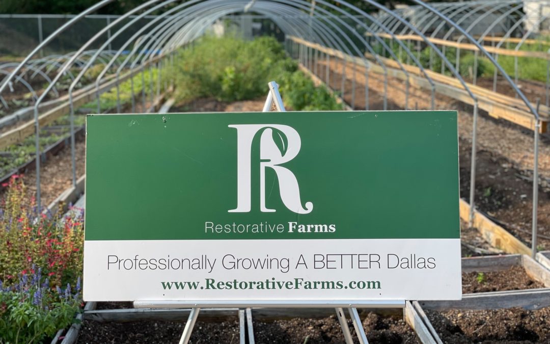 ‘Grow a Better Dallas’ with Restorative Farms