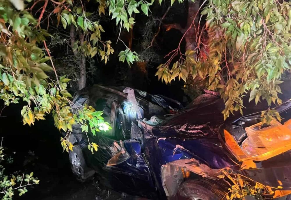 Woman Emerges from Crash Site after Two Days