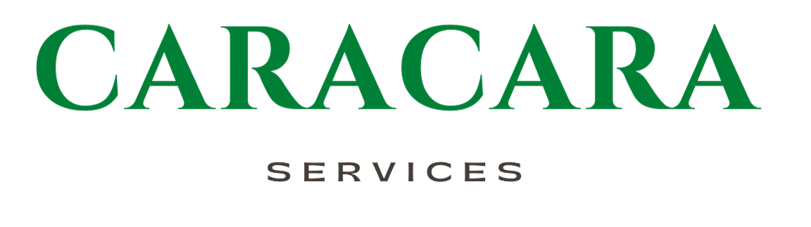 Caracara Services logo
