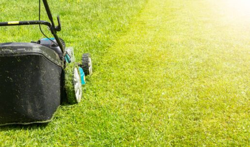 Man Cut Stranger’s Lawn Before Allegedly Stealing Lawnmower