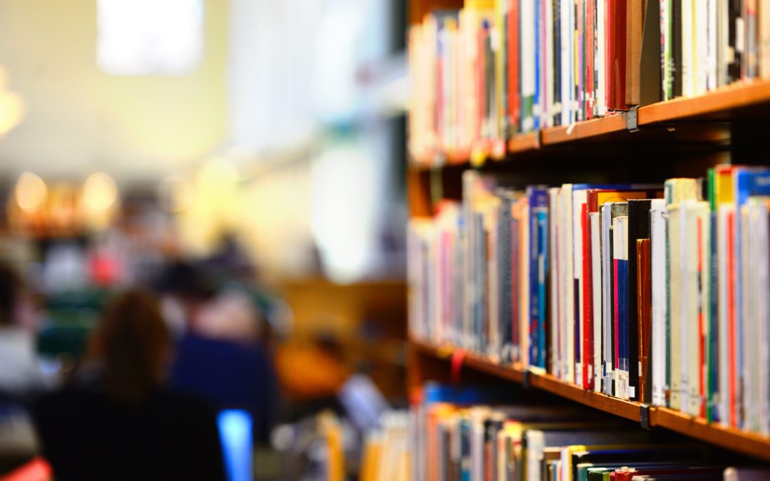 Local School Library Investigated for Allegedly Housing Porn