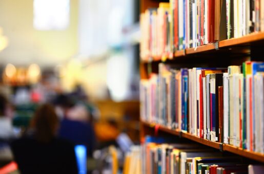 Local School Library Investigated for Allegedly Housing Porn