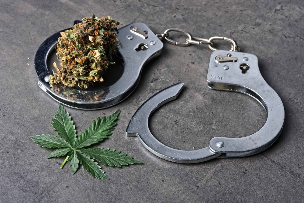 Austin Decriminalizes Marijuana, Bans ‘No Knock’ Warrants