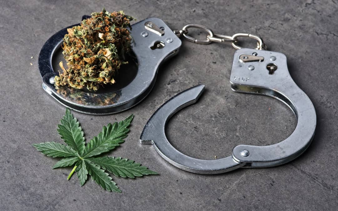 Austin Decriminalizes Marijuana, Bans ‘No Knock’ Warrants