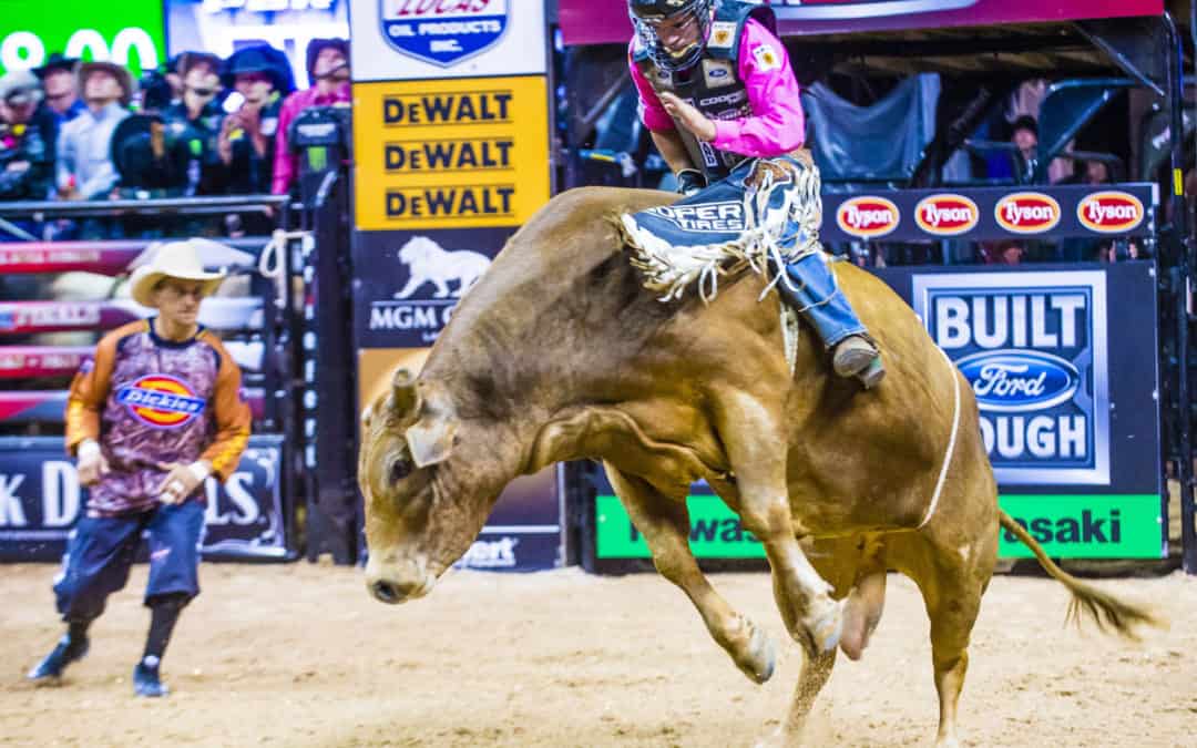 Professional Bull Riders World Finals in DFW