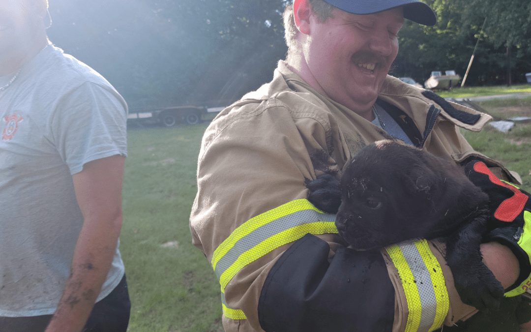 Local Firefighters Rescue Puppy Stuck in Septic Tank