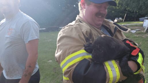 Local Firefighters Rescue Puppy Stuck in Septic Tank