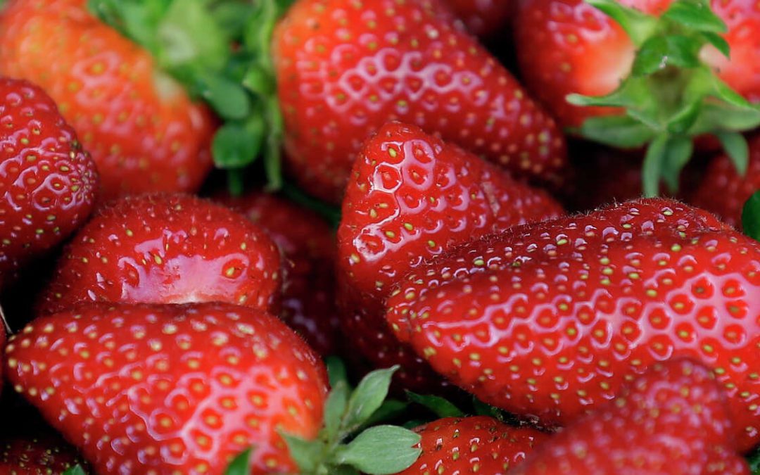 Organic Strawberries Linked to Hepatitis in U.S.