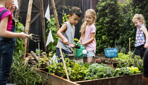 Opinion: A Garden for Homeless Children & Families Has Nutritional & Brain Development Benefits