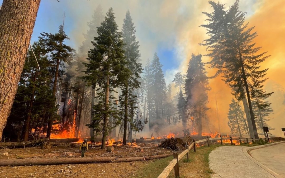 Wildfire Burning Through California