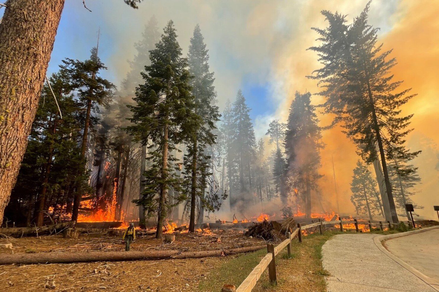 Wildfire Burning Through 18,000 Acres in Califronia