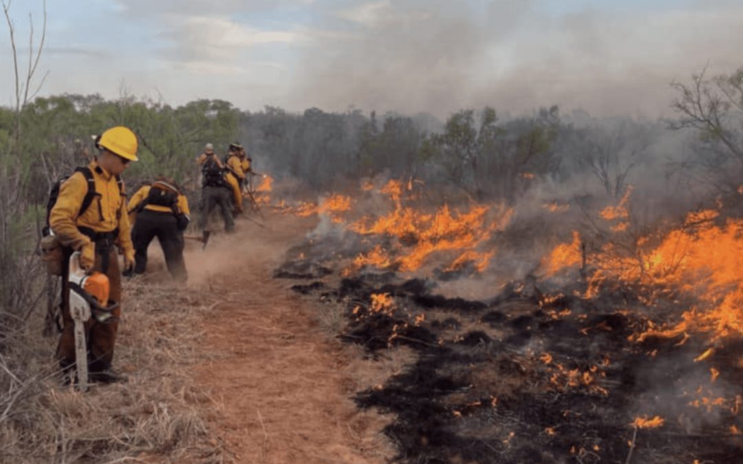 Texas Wildfire Threats Continue During Record Heat and Ongoing Drought Conditions