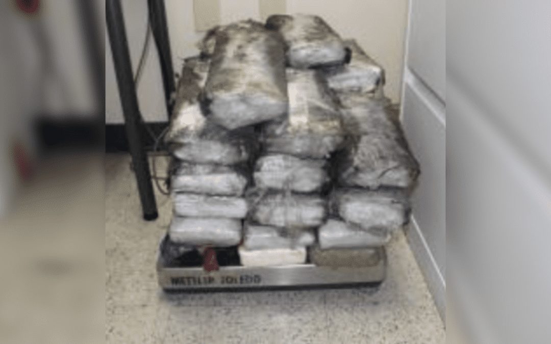 Border Patrol Seizes Over $690K of Narcotics in Texas