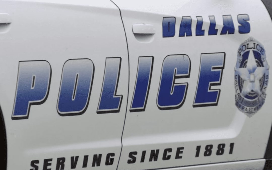 4-Year-Old Dies After Dog Attack in South Dallas