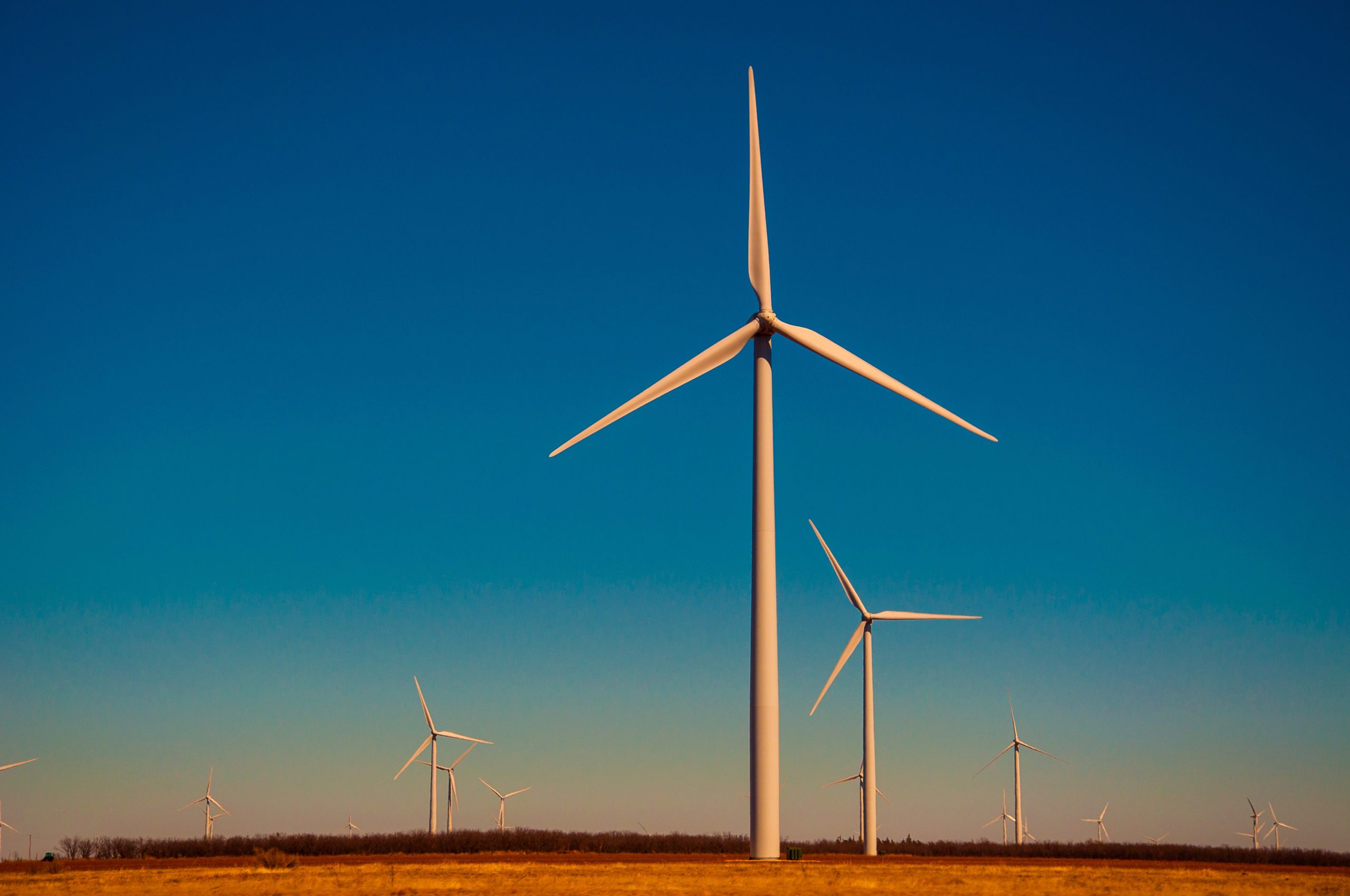 Midwest Retailer to Buy Majority of Texas Wind Center's Energy