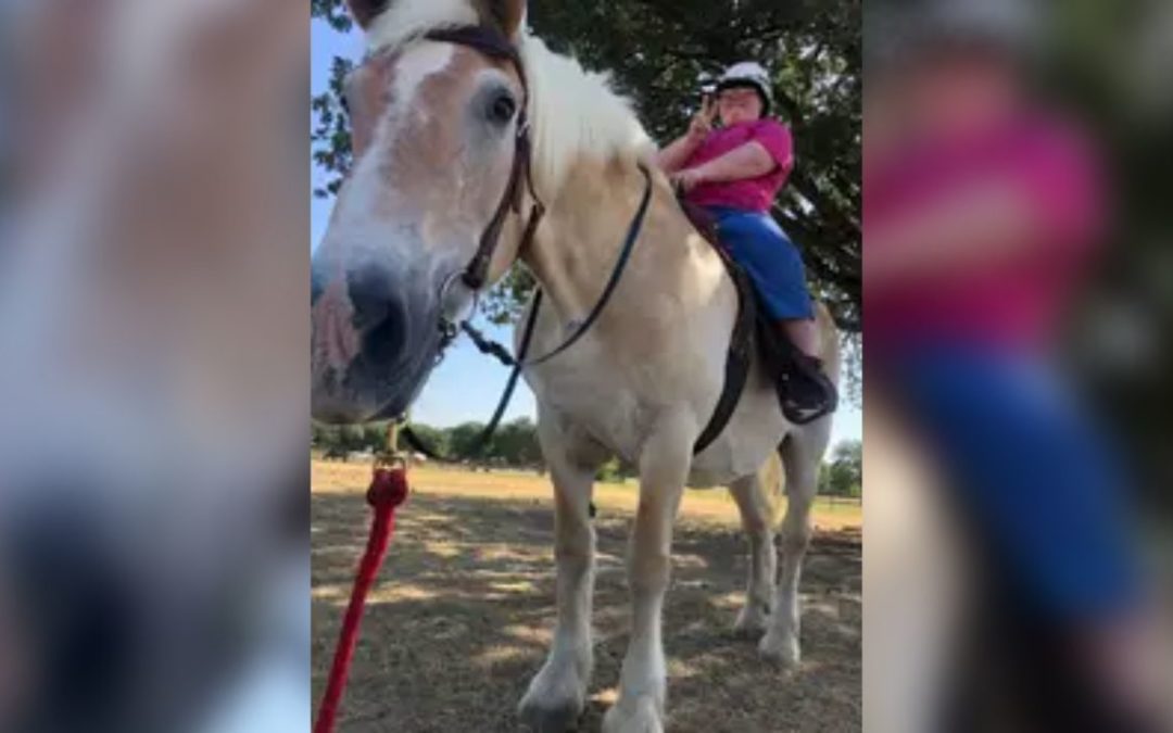 Local Therapy Horse Dies After Getting Mud-Stuck