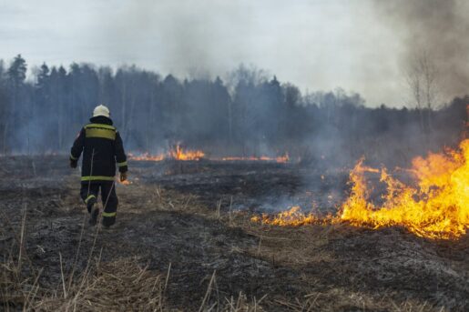 Texas Could Set Wildfire Record