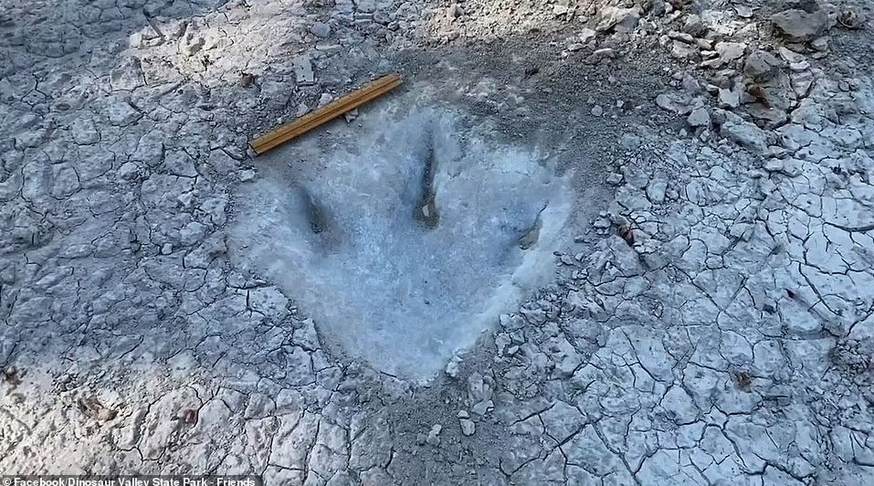 VIDEO: New Dinosaur Footprints Uncovered in Texas Riverbed