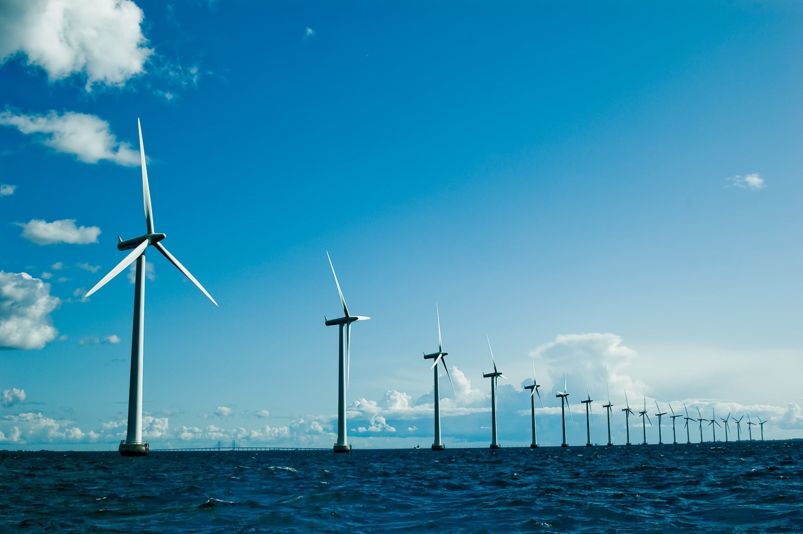 Biden Designates Offshore Territory for Wind Farms