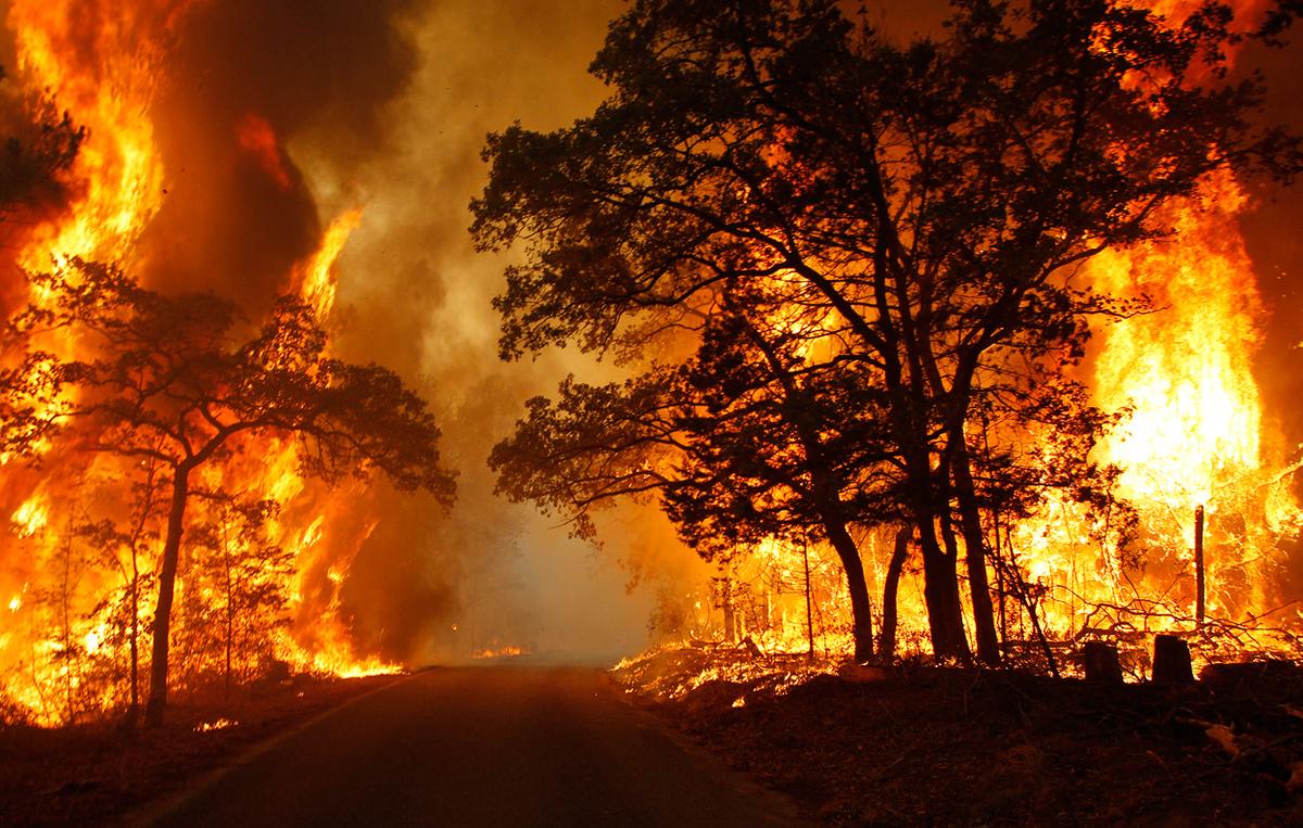 Nearly 1,000 Personnel Battling Over 115 Wildfires in Parts of Texas